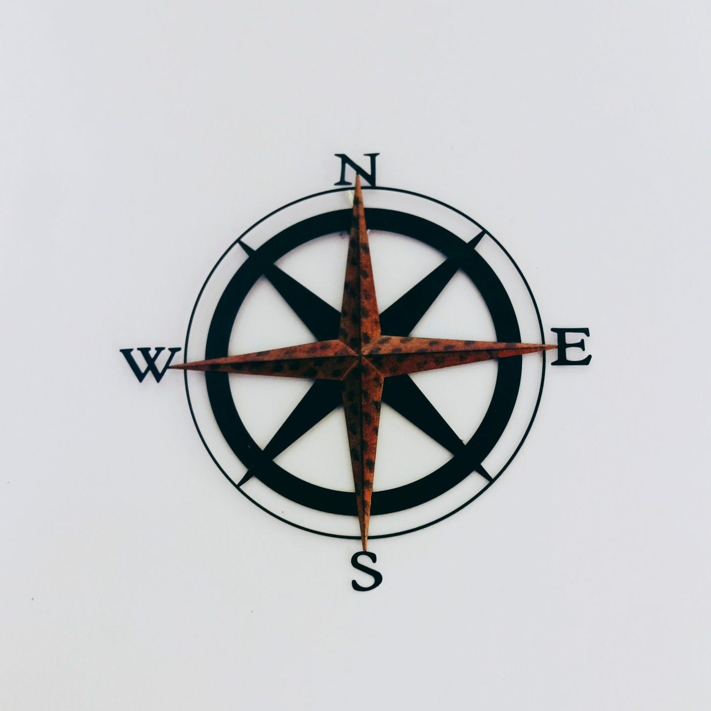 honey-yanibel-minaya-cruz-6gSyEKq4Pvg-unsplash