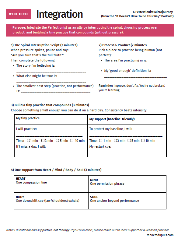 Perfectionist Microjourney 3 - Integration 2026